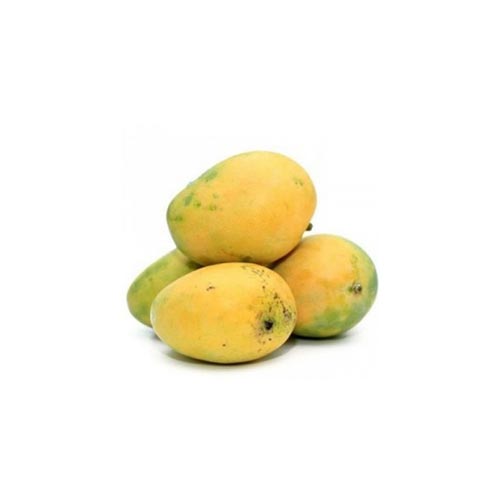 Mango / Aam, Himsagar, Fresh Fruits