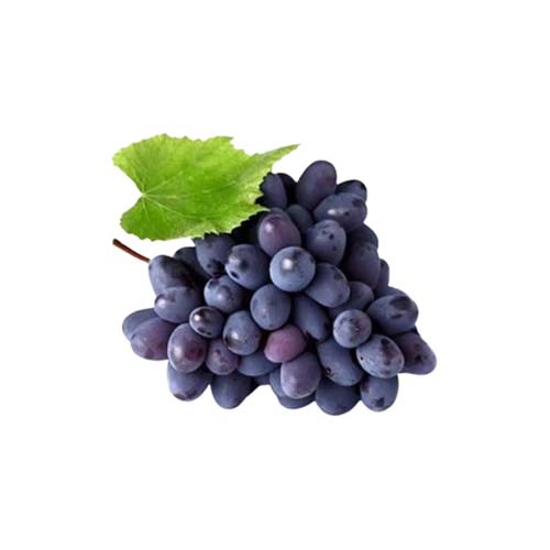 Black Grapes / Kalo Angur, Fresh Fruits