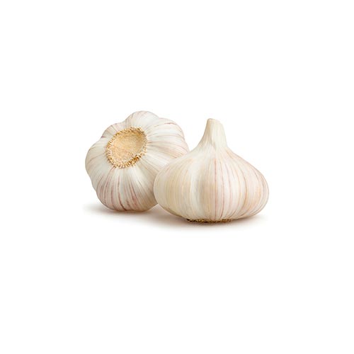 Garlic Whole / Rosun