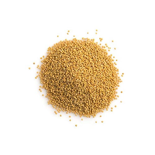 Yellow Mustard Seeds / Holud Sarisha, Whole Spices