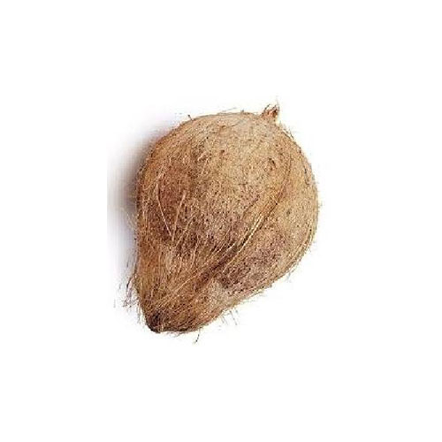 Coconut / Narkel, Clean