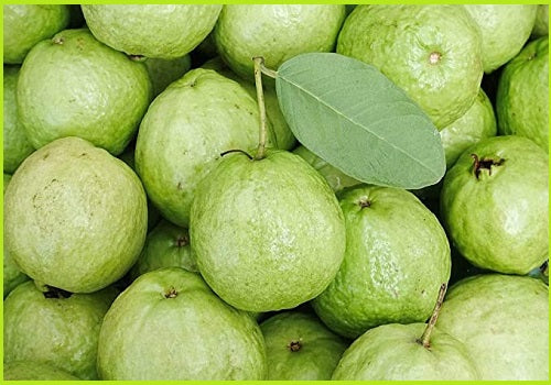 Guava Fruit/ Peyara